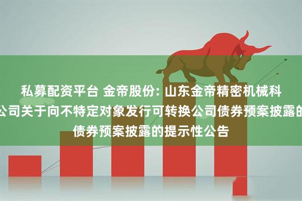 私募配资平台 金帝股份: 山东金帝精密机械科技股份有限公司关于向不特定对象发行可转换公司债券预案披露的提示性公告