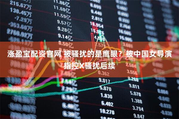 涨盈宝配资官网 被骚扰的是鹰眼？被中国女导演指控X骚扰后续