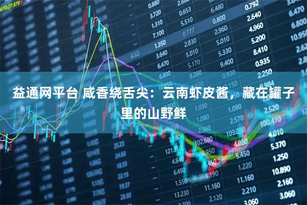 益通网平台 咸香绕舌尖：云南虾皮酱，藏在罐子里的山野鲜